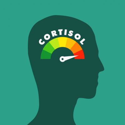 Cortisol