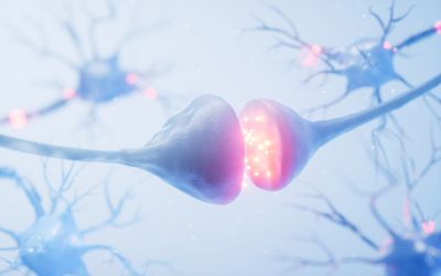 Hormone Therapy