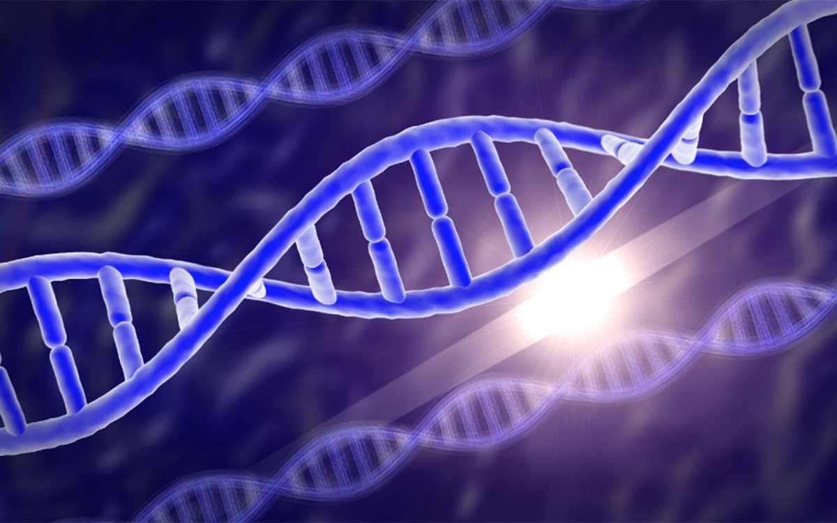 gene