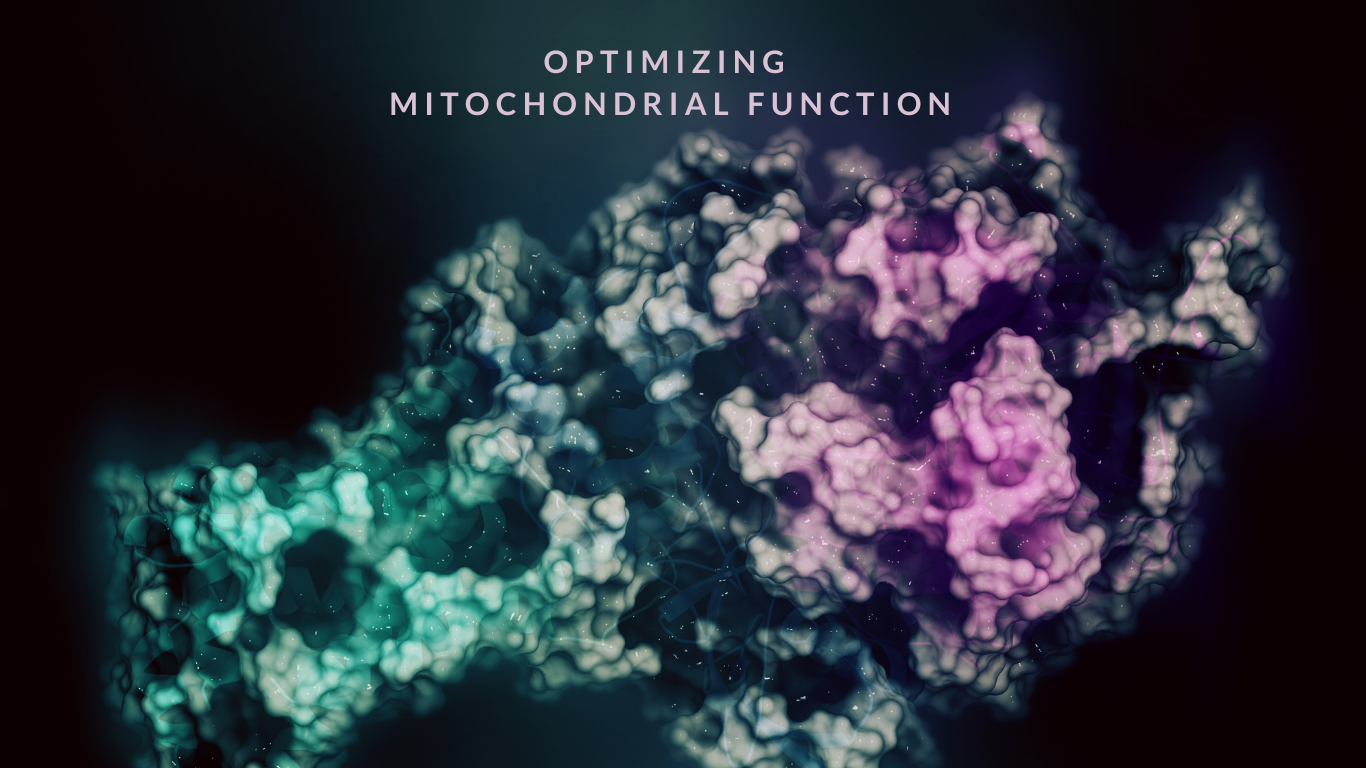 Optimizing Mitochondrial Function Testosertone Minneapolis Mn