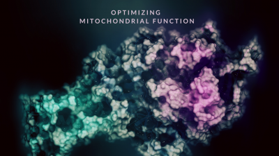 Optimizing Mitochondrial Function Testosertone Minneapolis Mn