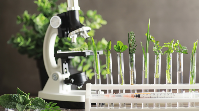 Food Intolerance and SensitivityTesting Minneapolis