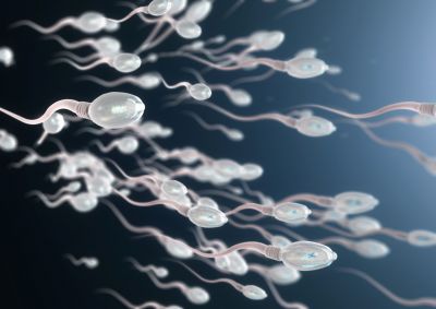 Male Fertility Clinic Minneapolis